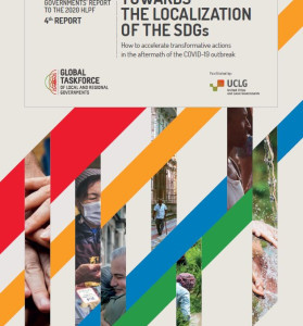 High Level Political Forum Report 2020