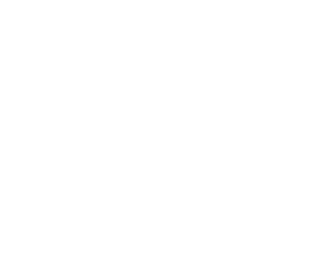 SDG's in Palestinian Municipalities