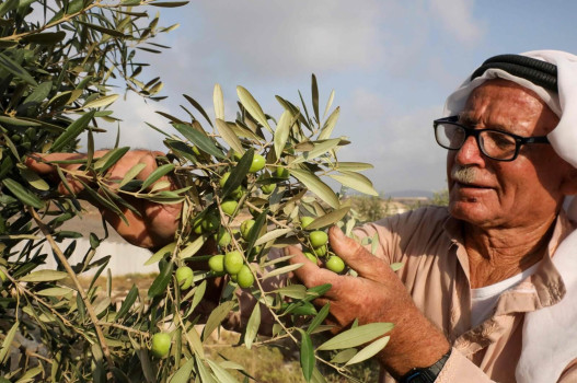 العمل اللائق ونمو الاقتصاد